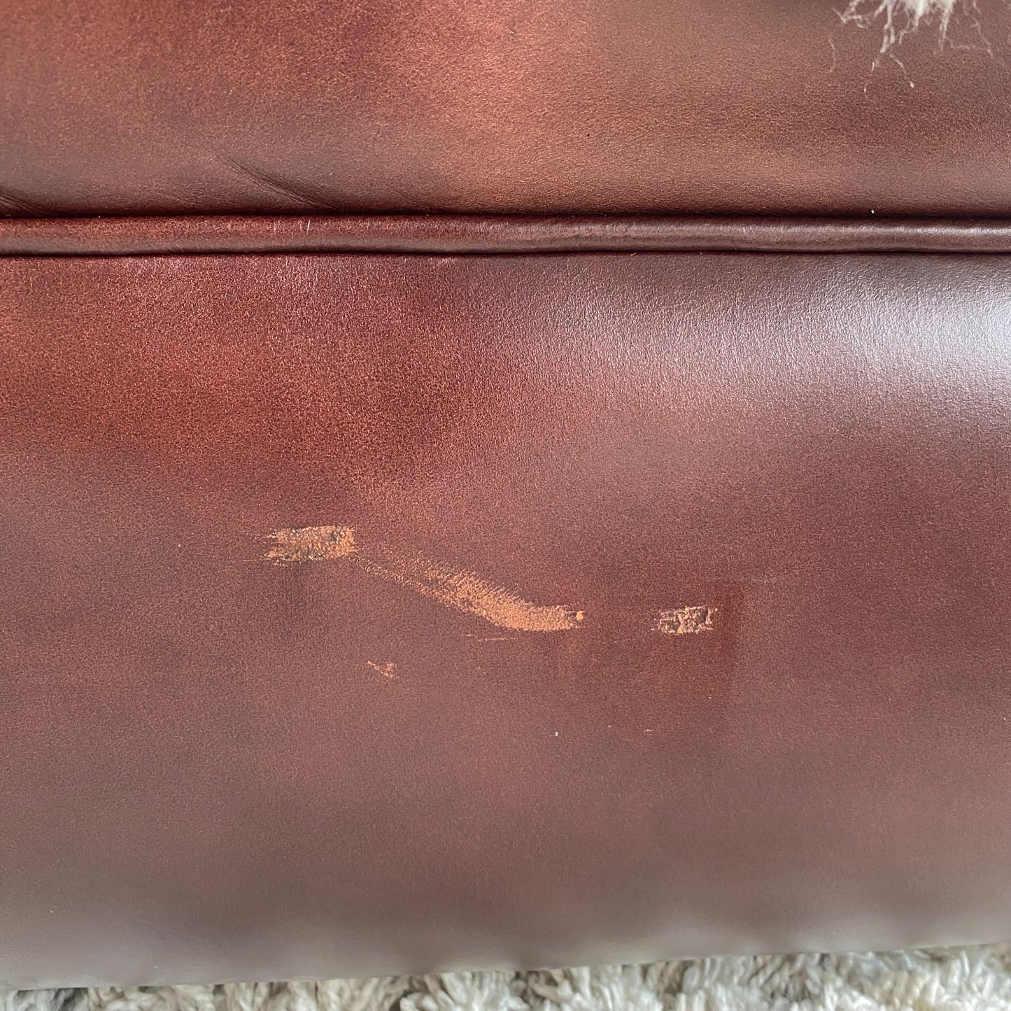 Pottery Barn Pearce Sleeper Sofa in Merlot Leather