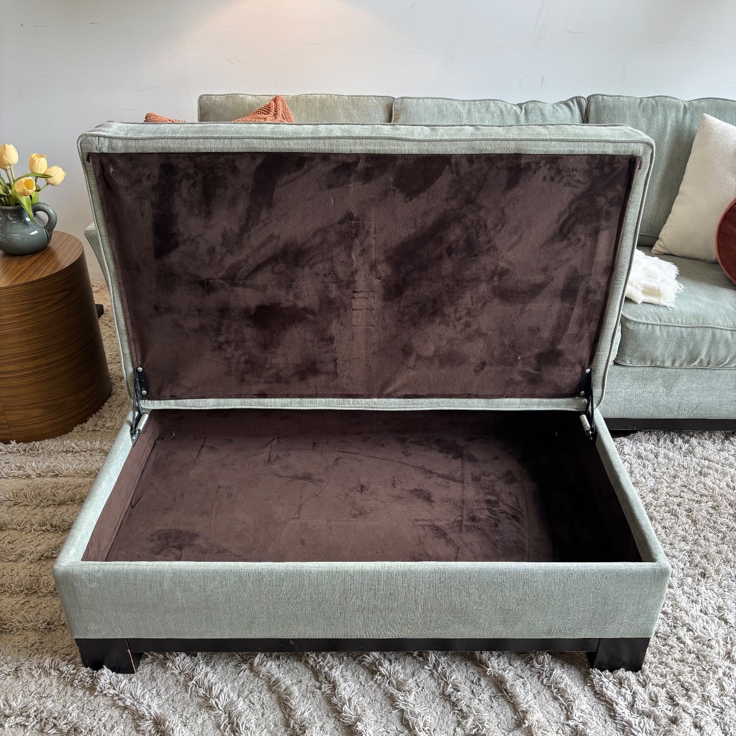 Macy’s Sage Green Sofa