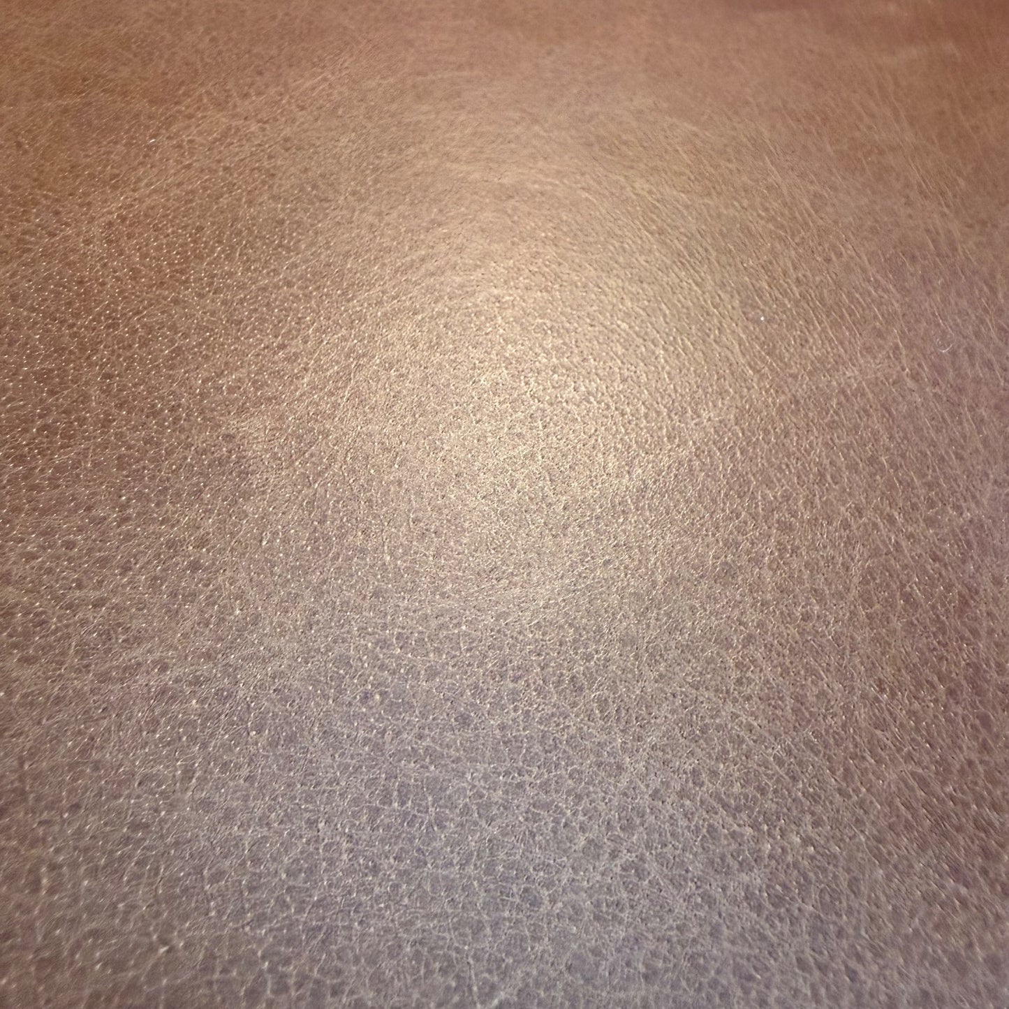 Interior Define Fisher Leather Accent Chair