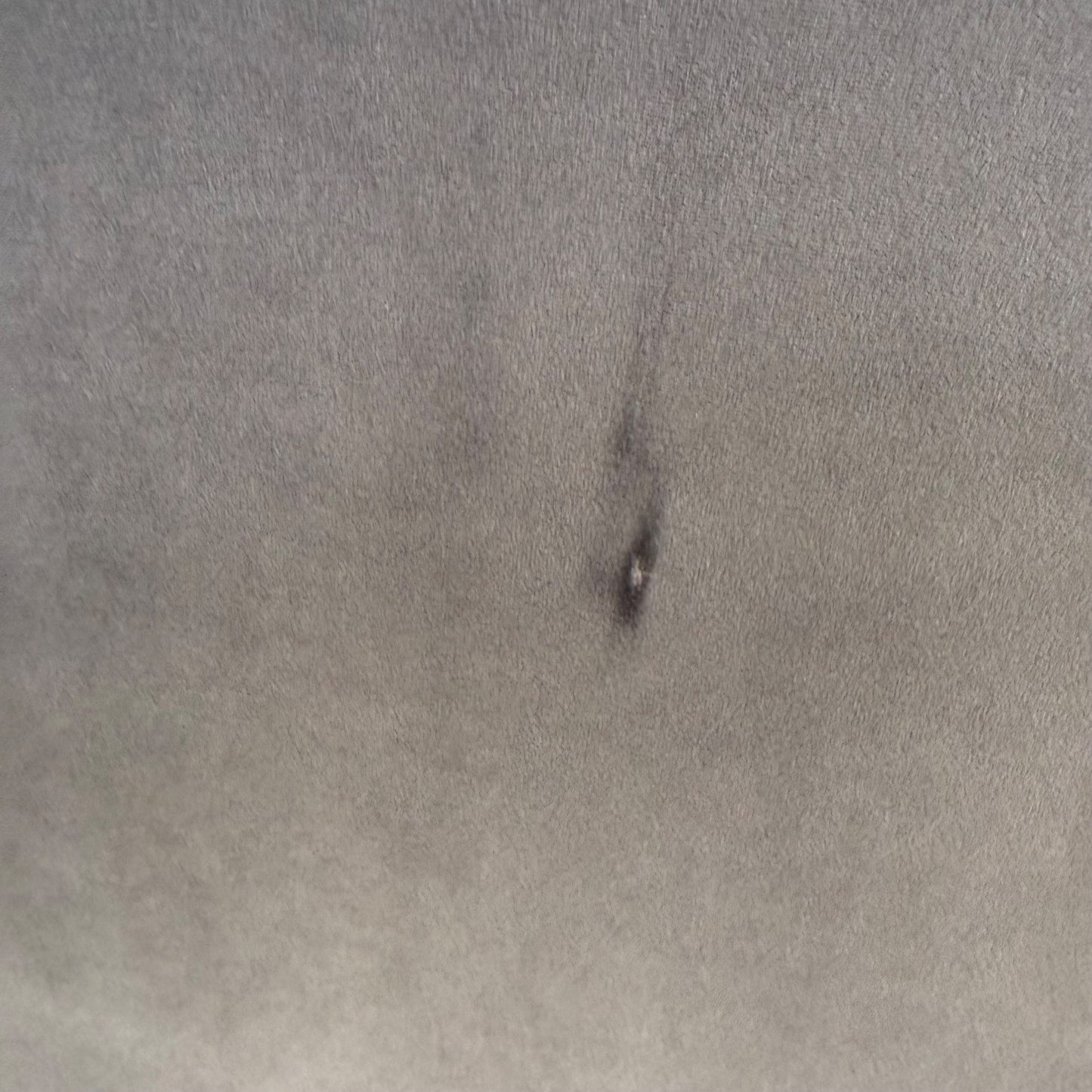 Interior Define Queen Graham Bed in Grey Performance Velvet