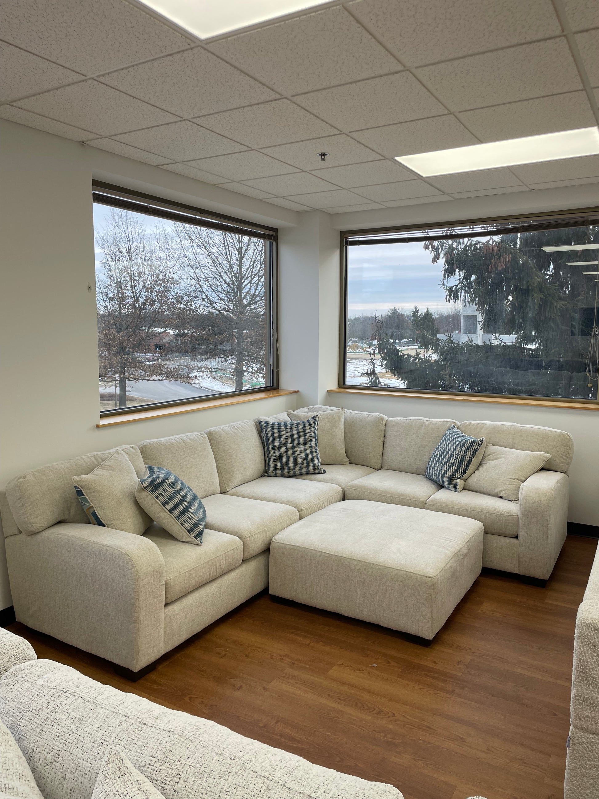 Beige sectional sofa in a room with large windows showing an outdoor view.