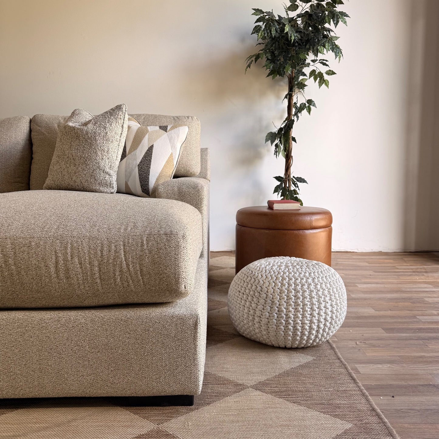 Sectional Couch